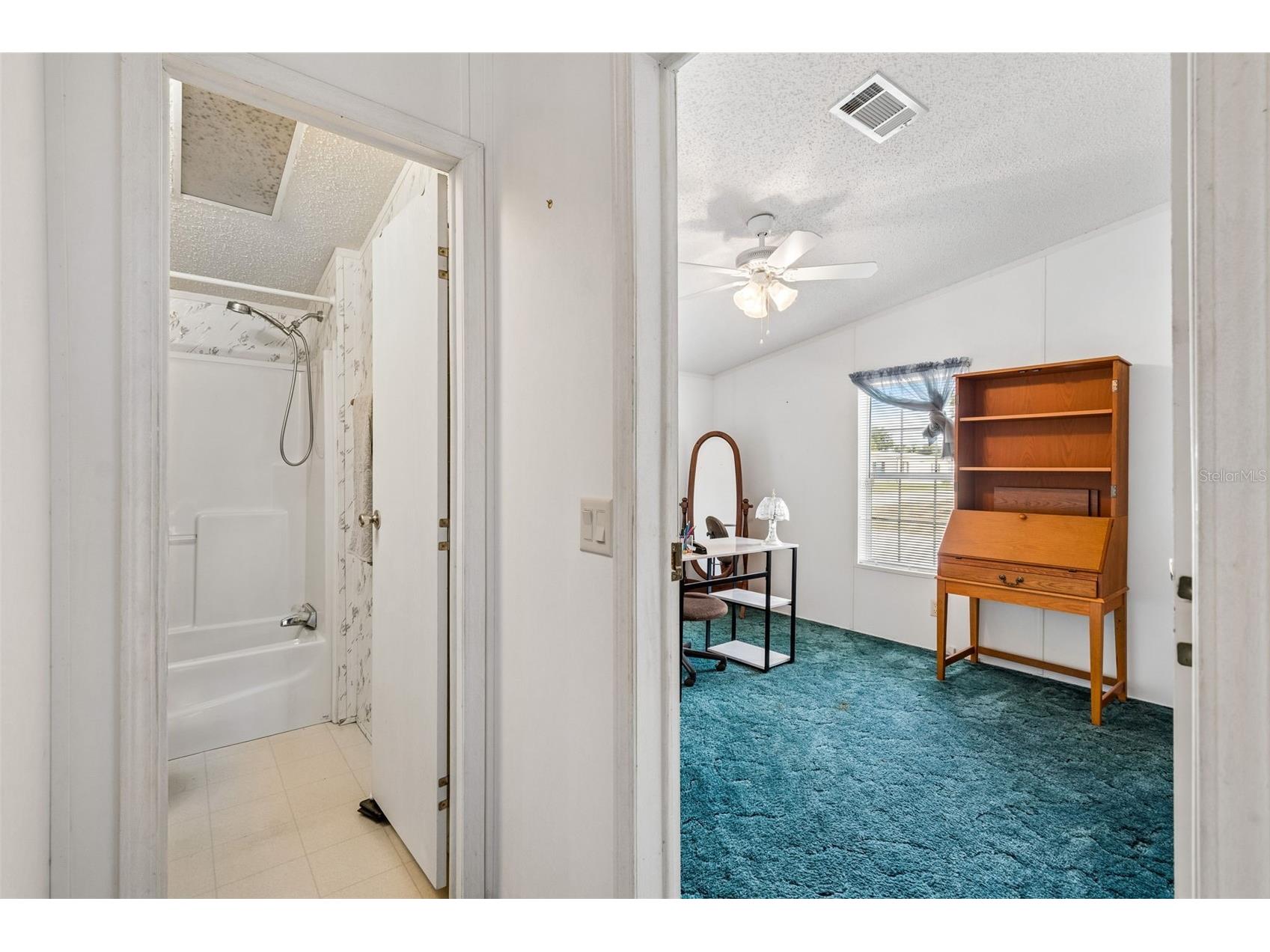 37913 Palmetto Palm Drive Zephyrhills FL 33542 TB8513640 image17