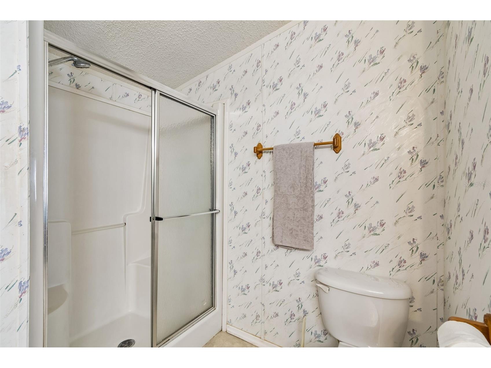 37913 Palmetto Palm Drive Zephyrhills FL 33542 TB8513640 image26