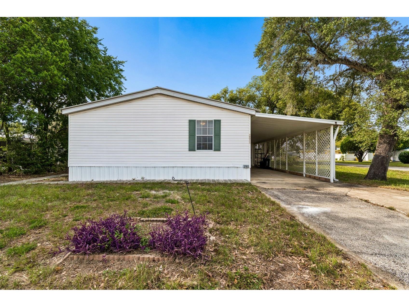 37913 Palmetto Palm Drive Zephyrhills FL 33542 TB8513640 image3