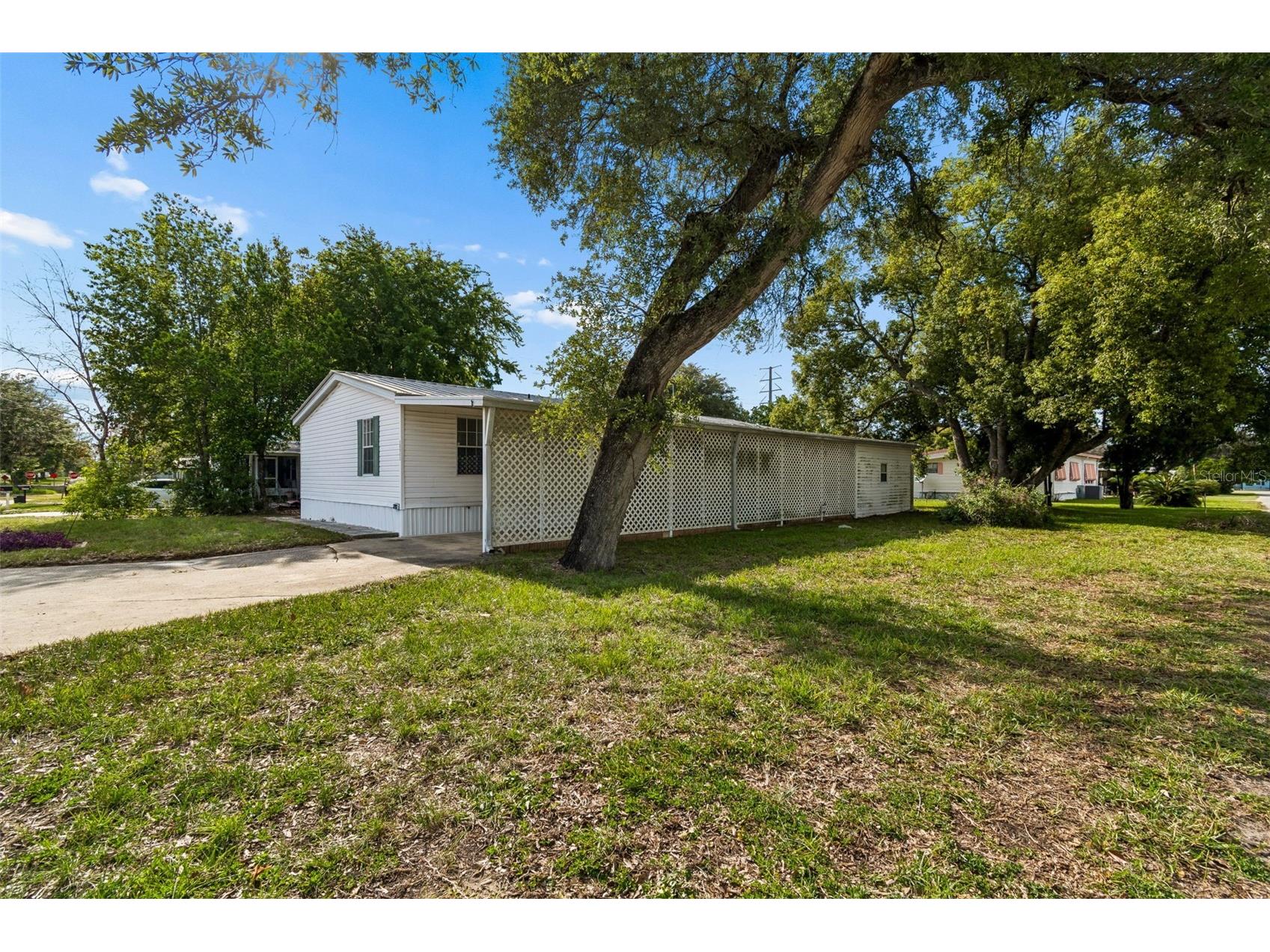 37913 Palmetto Palm Drive Zephyrhills FL 33542 TB8513640 image59