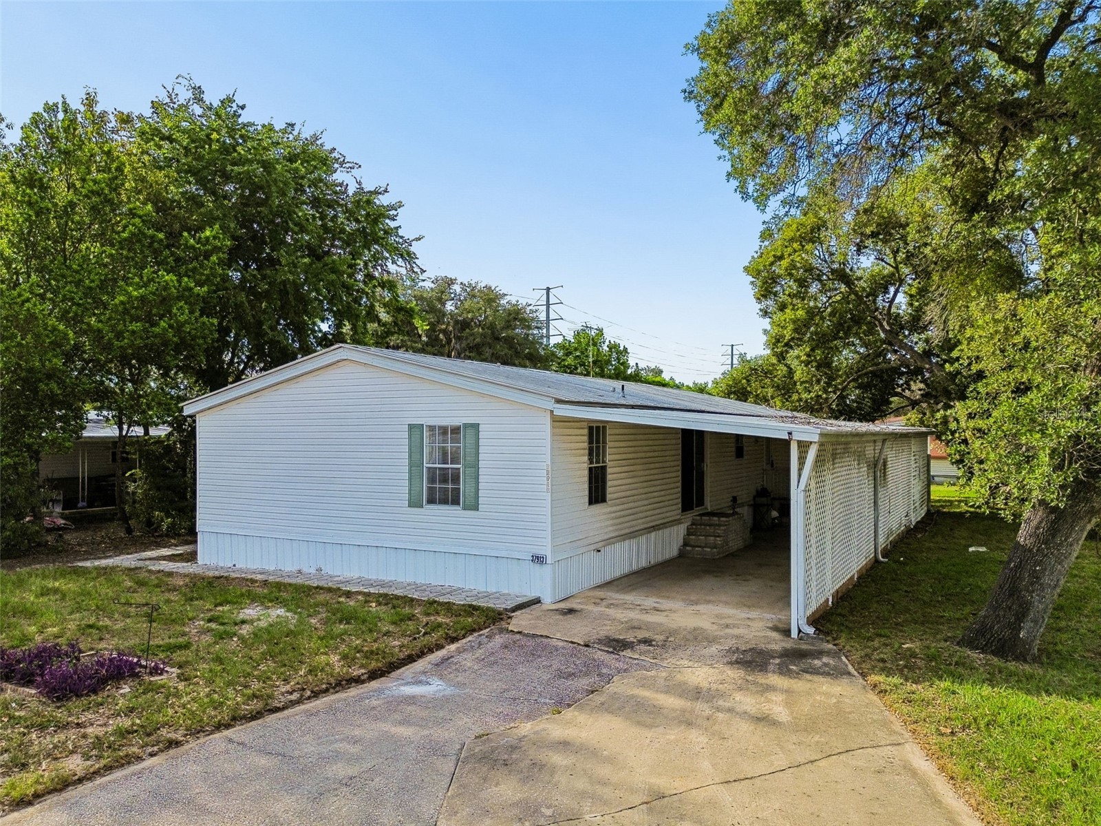 37913 Palmetto Palm Drive Zephyrhills FL 33542 TB8513640 image65