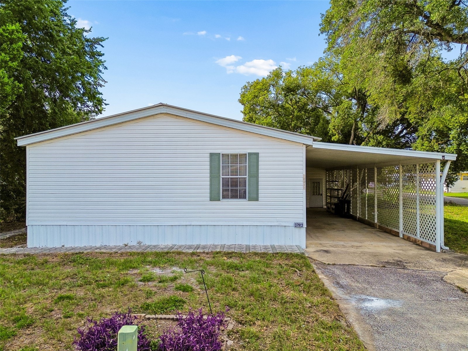 37913 Palmetto Palm Drive Zephyrhills FL 33542 TB8513640 image66