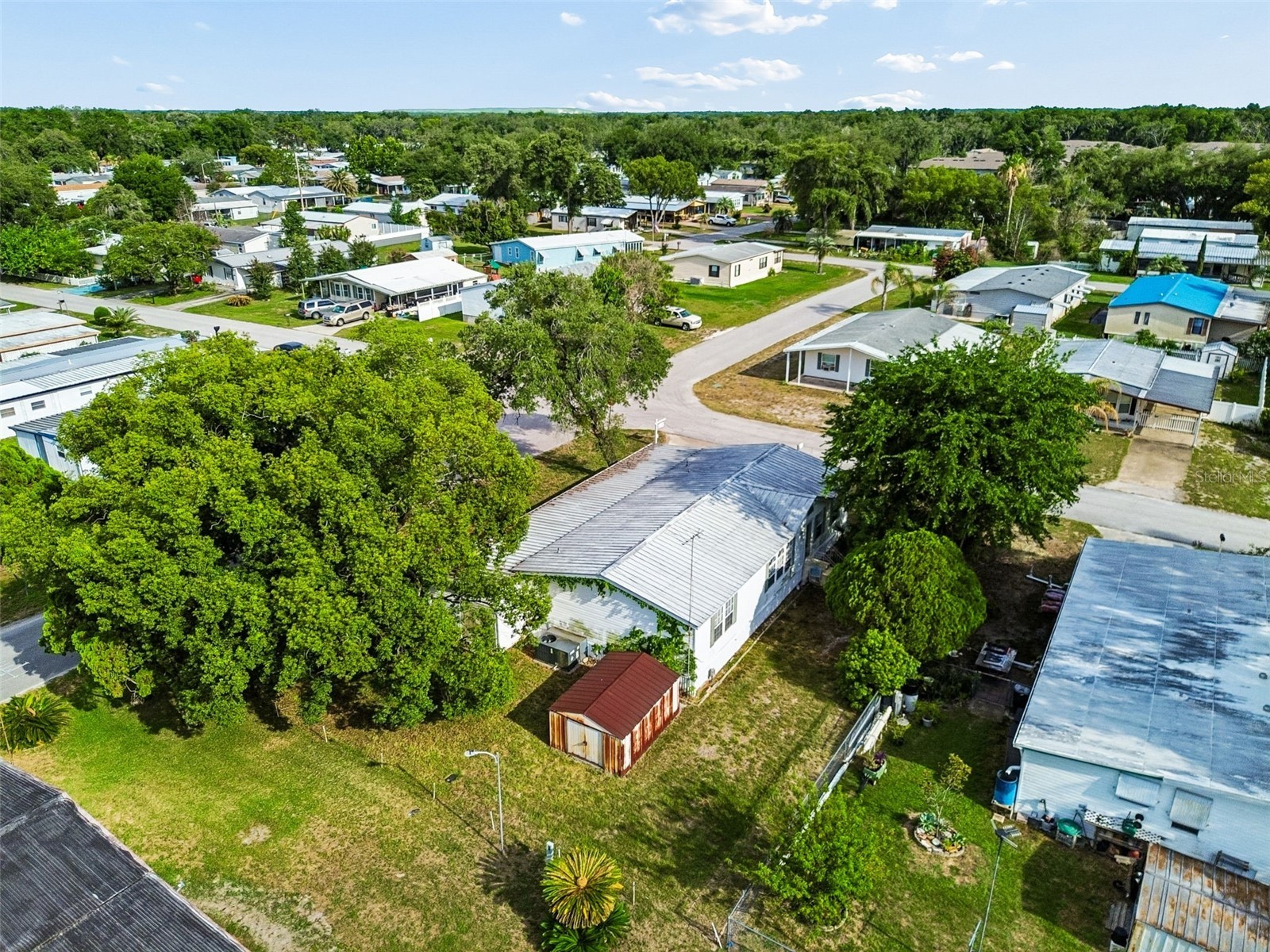 37913 Palmetto Palm Drive Zephyrhills FL 33542 TB8513640 image72