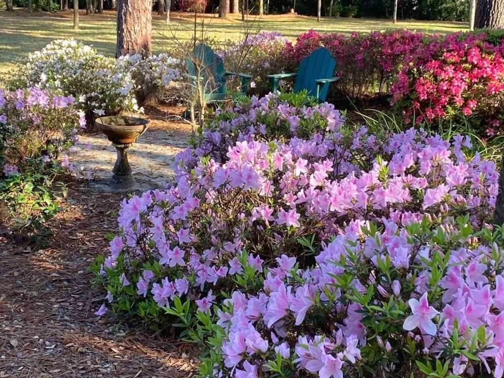 37918 N County Road 44a Eustis FL 32736 - LAKE DALHOUSIE FC309621 image26