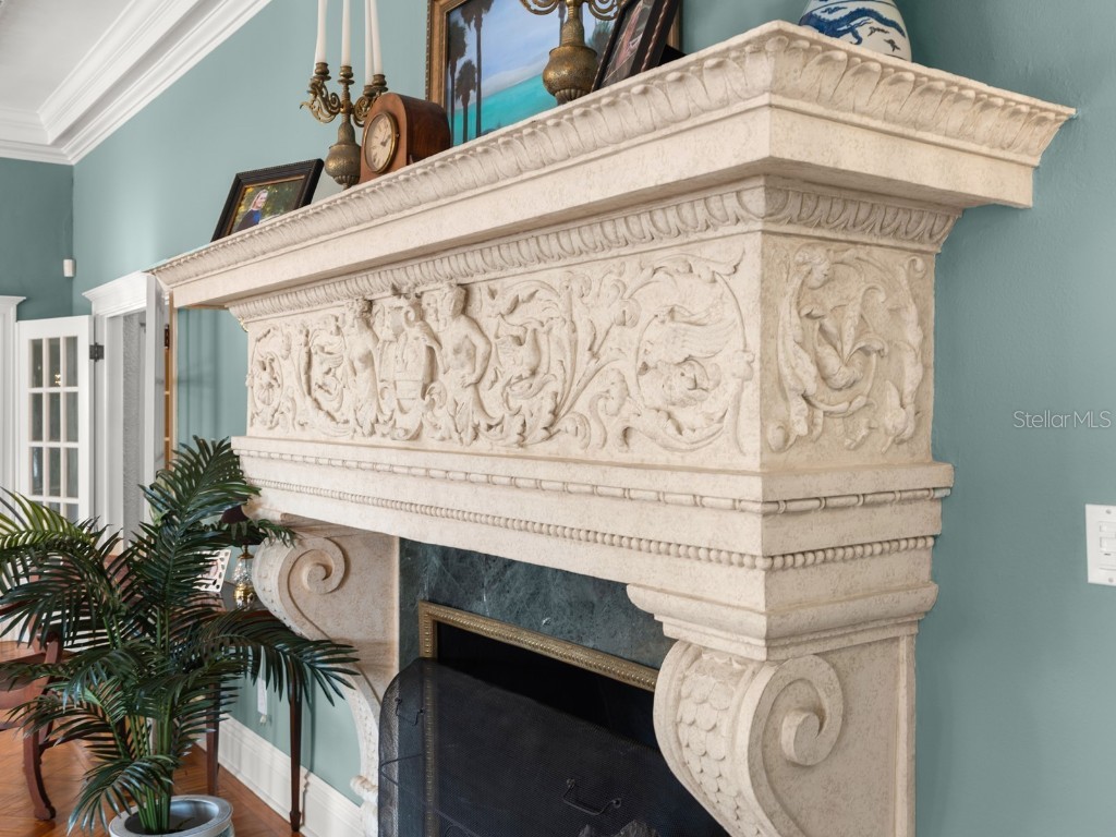 37918 N County Road 44a Eustis FL 32736 - LAKE DALHOUSIE FC309621 image49