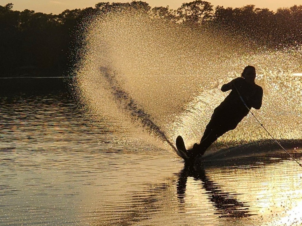 37918 N County Road 44a Eustis FL 32736 - LAKE DALHOUSIE FC309621 image92