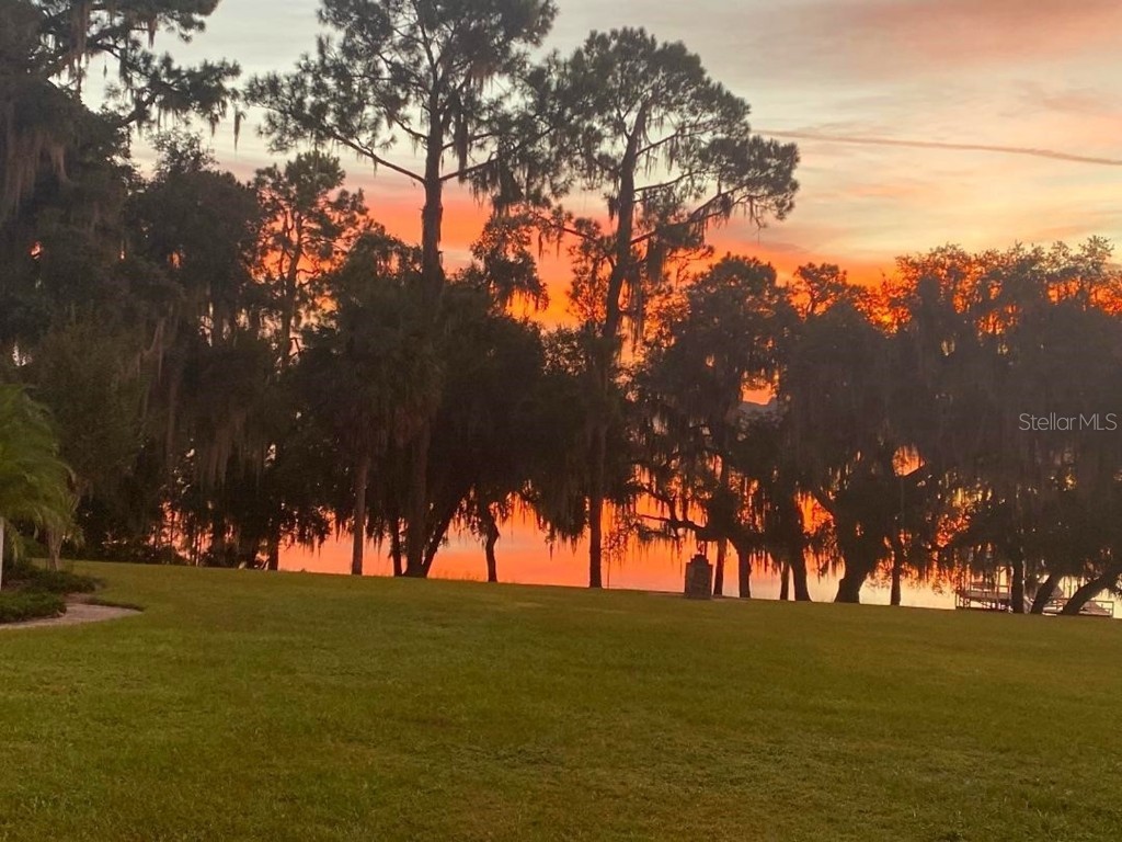 37918 N County Road 44a Eustis FL 32736 - LAKE DALHOUSIE FC309621 image93