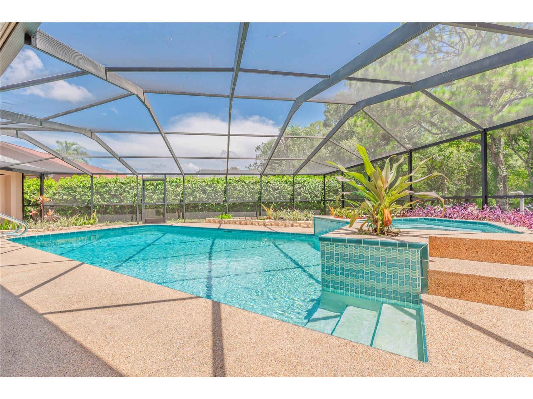 3792 Windber Boulevard Palm Harbor FL 34685 TB8526903 image3