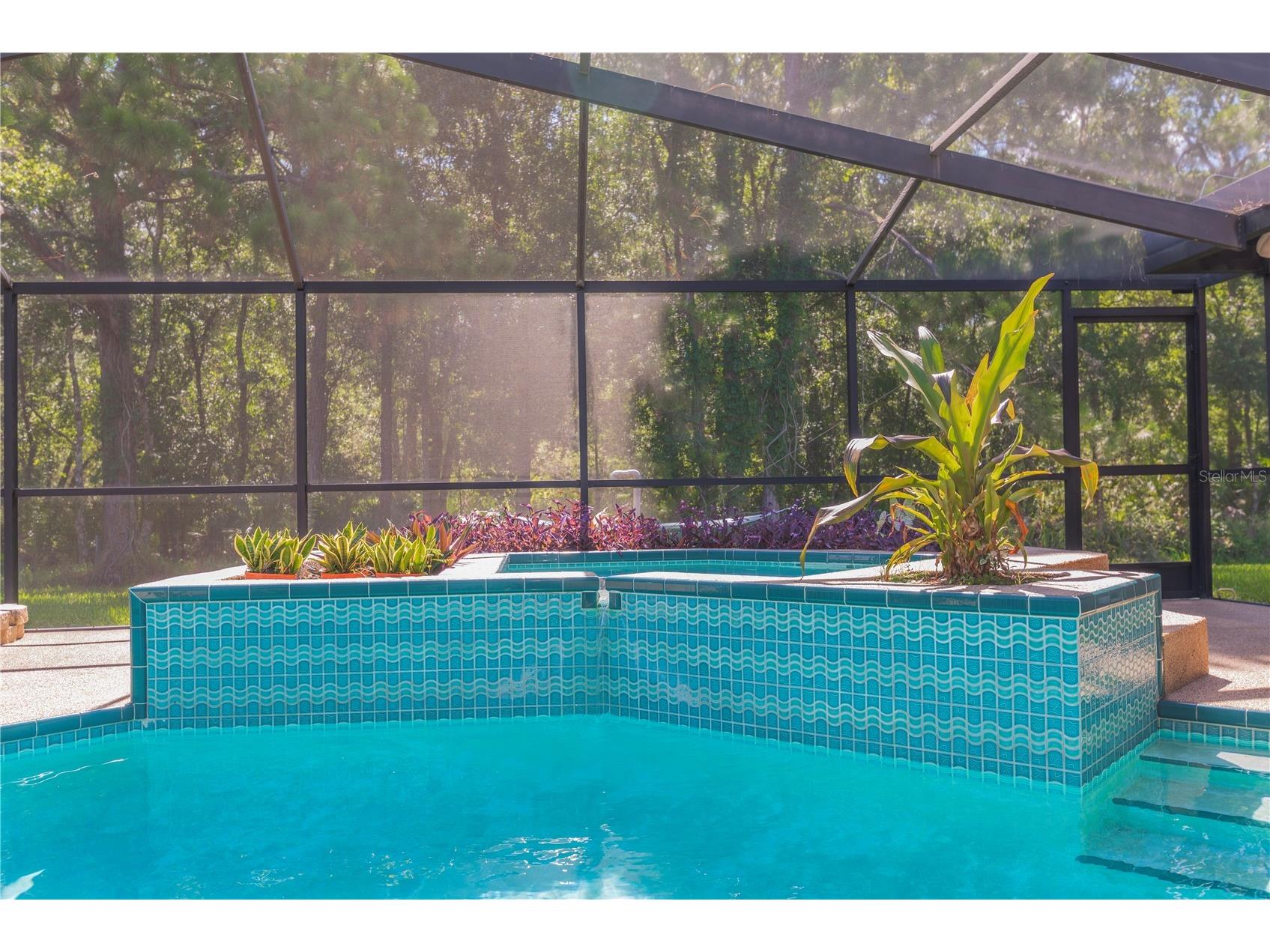 3792 Windber Boulevard Palm Harbor FL 34685 TB8526903 image42