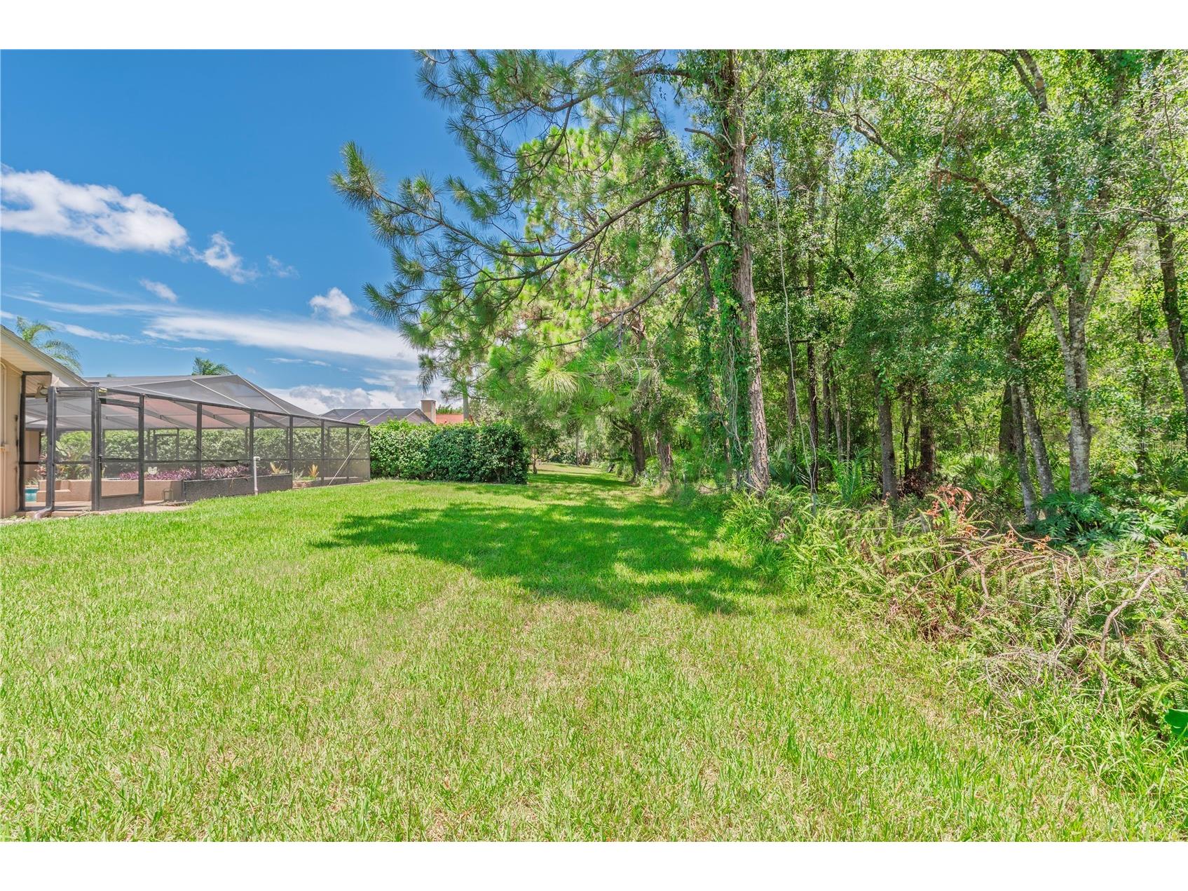 3792 Windber Boulevard Palm Harbor FL 34685 TB8526903 image48