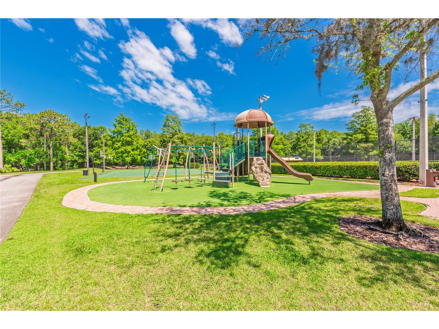 3792 Windber Boulevard Palm Harbor FL 34685 TB8526903 image52