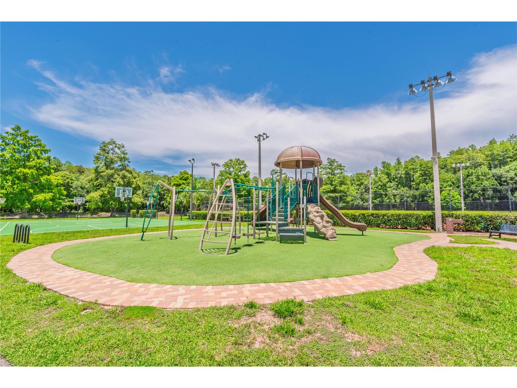 3792 Windber Boulevard Palm Harbor FL 34685 TB8526903 image53
