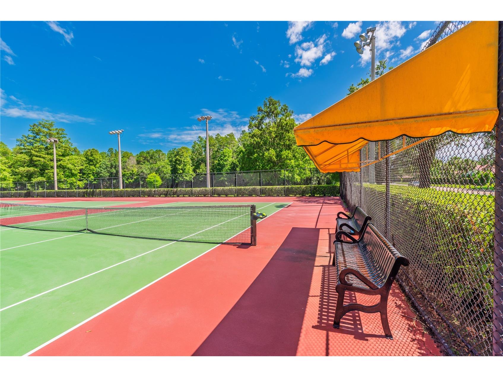 3792 Windber Boulevard Palm Harbor FL 34685 TB8526903 image54
