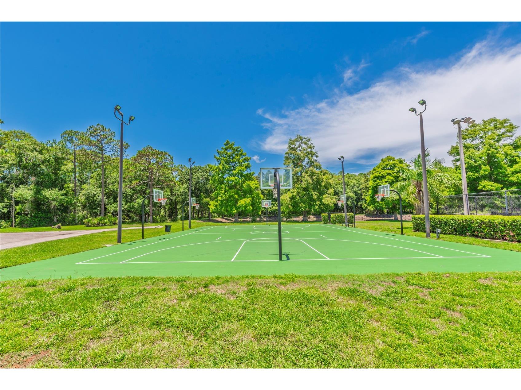 3792 Windber Boulevard Palm Harbor FL 34685 TB8526903 image56