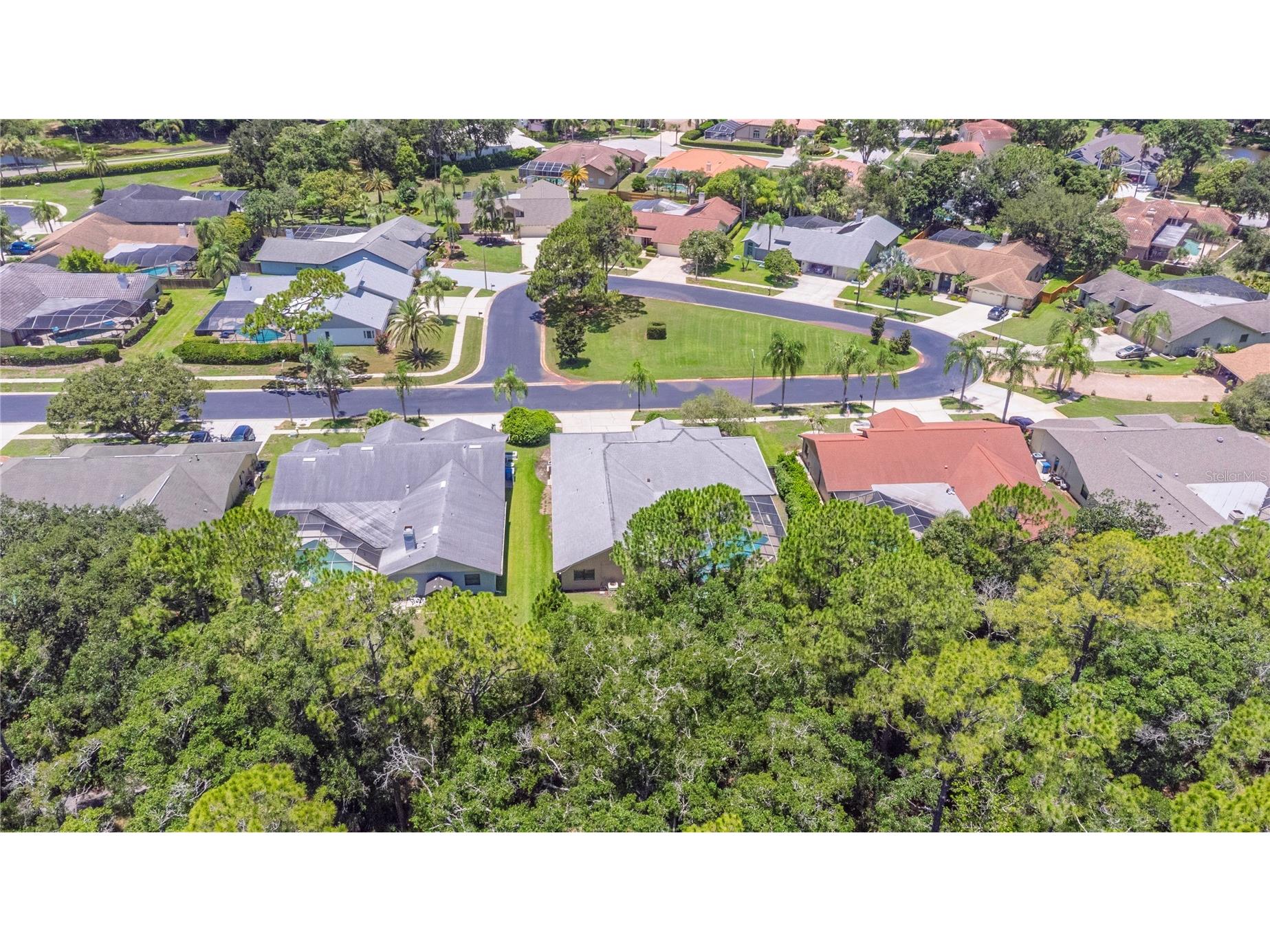 3792 Windber Boulevard Palm Harbor FL 34685 TB8526903 image57