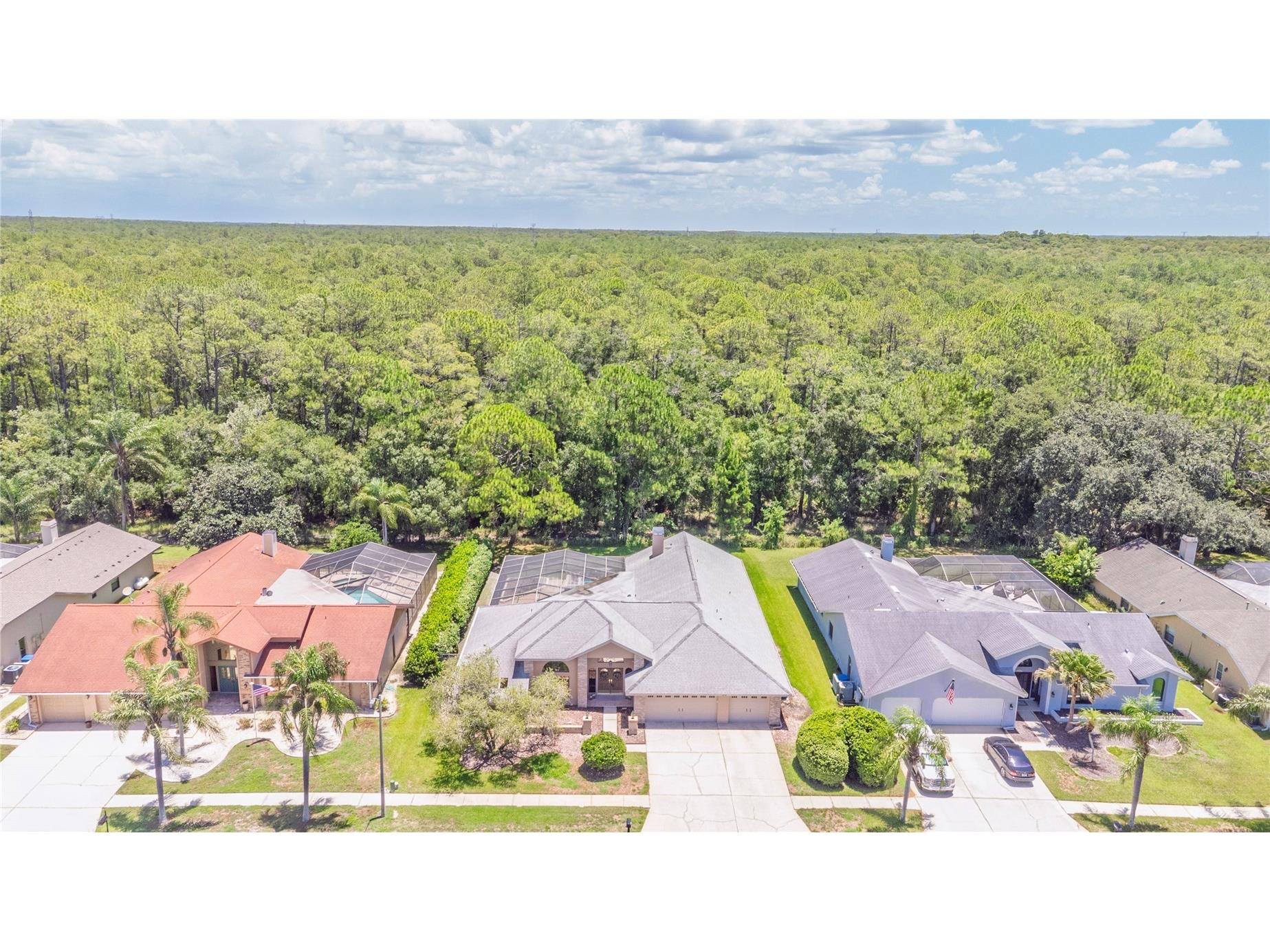3792 Windber Boulevard Palm Harbor FL 34685 TB8526903 image64