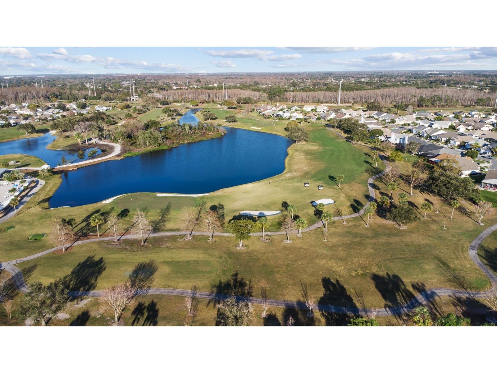 3793 Atrium Drive #L6 Orlando FL 32822 S5152653 image49