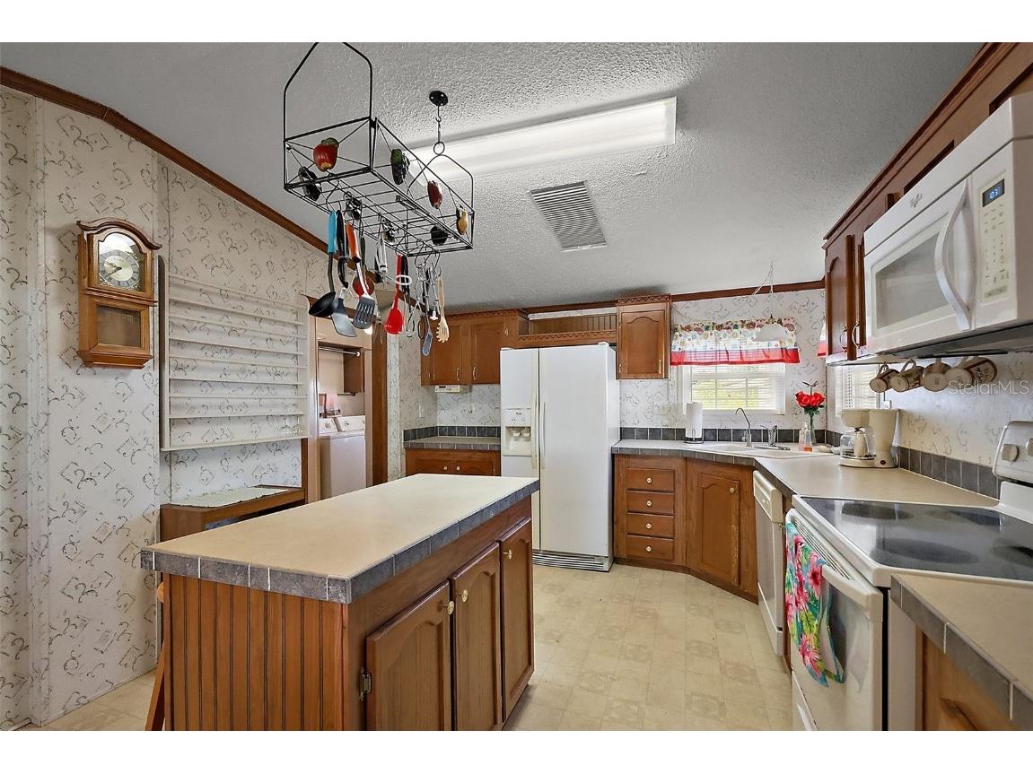 37945 Monticello Street Leesburg FL 34788 - LAKE YALE G5095852 image11