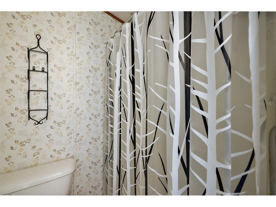 37945 Monticello Street Leesburg FL 34788 - LAKE YALE G5095852 image17