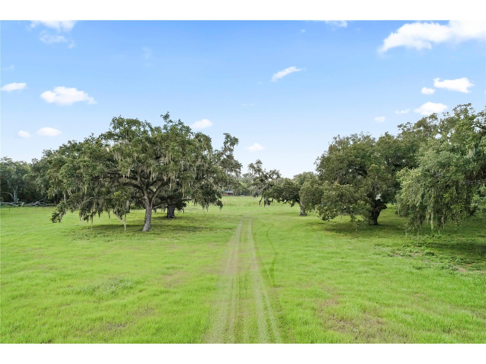 37952 Crystal Way Dade City FL 33523 TB8523475 image2