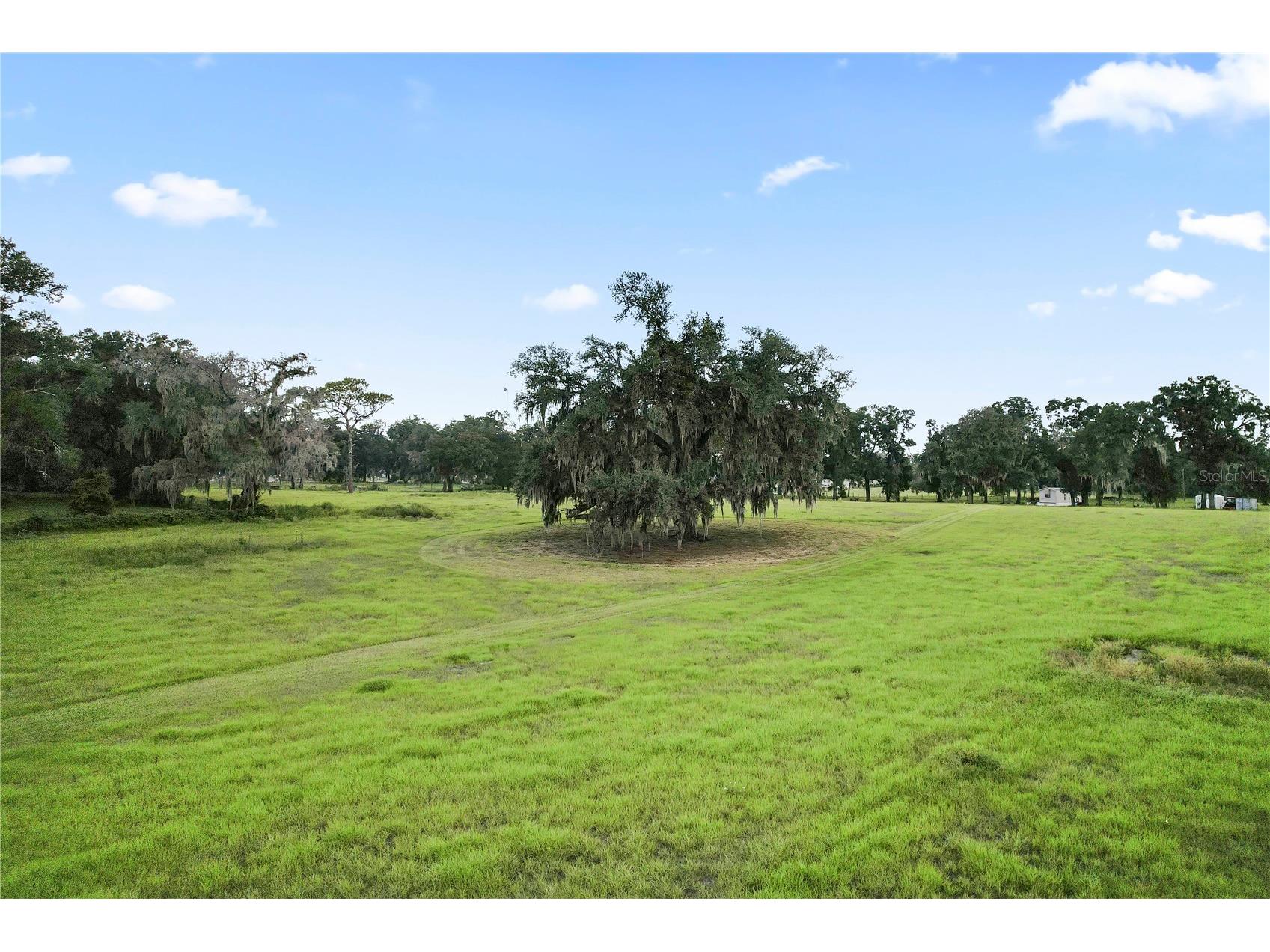 37952 Crystal Way Dade City FL 33523 TB8523475 image3
