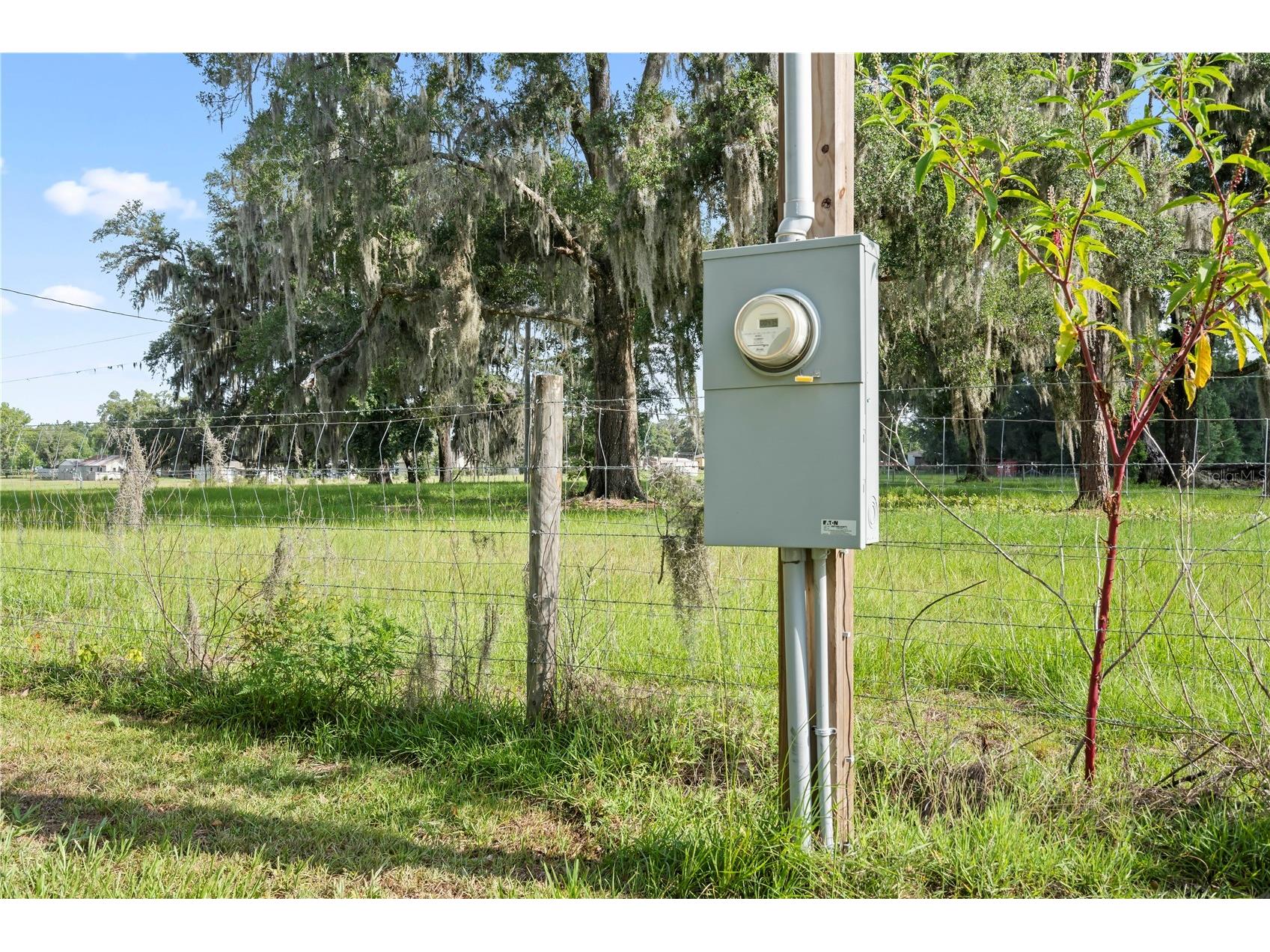 37952 Crystal Way Dade City FL 33523 TB8523475 image6
