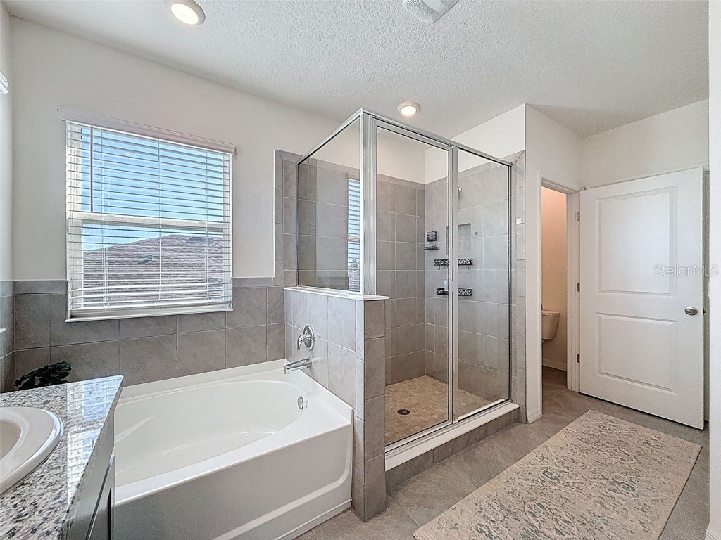 3797 Autumn Amber Drive Spring Hill FL 34609 W7879910 image24