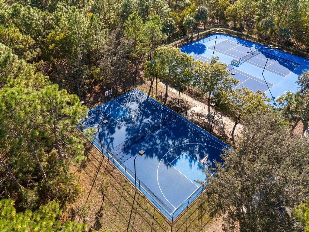 3797 Autumn Amber Drive Spring Hill FL 34609 W7879910 image40