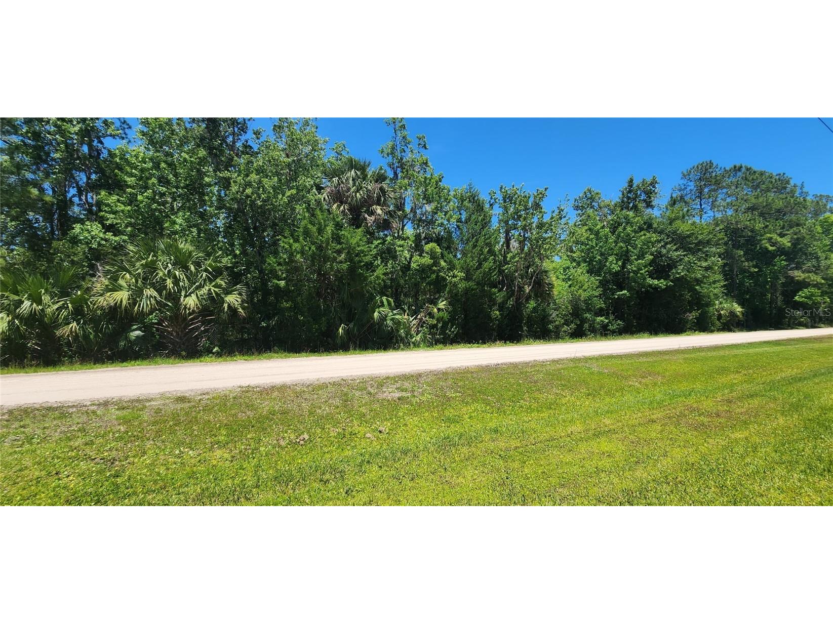 3798 Arbor Avenue Bunnell FL 32110 V4930044 image1