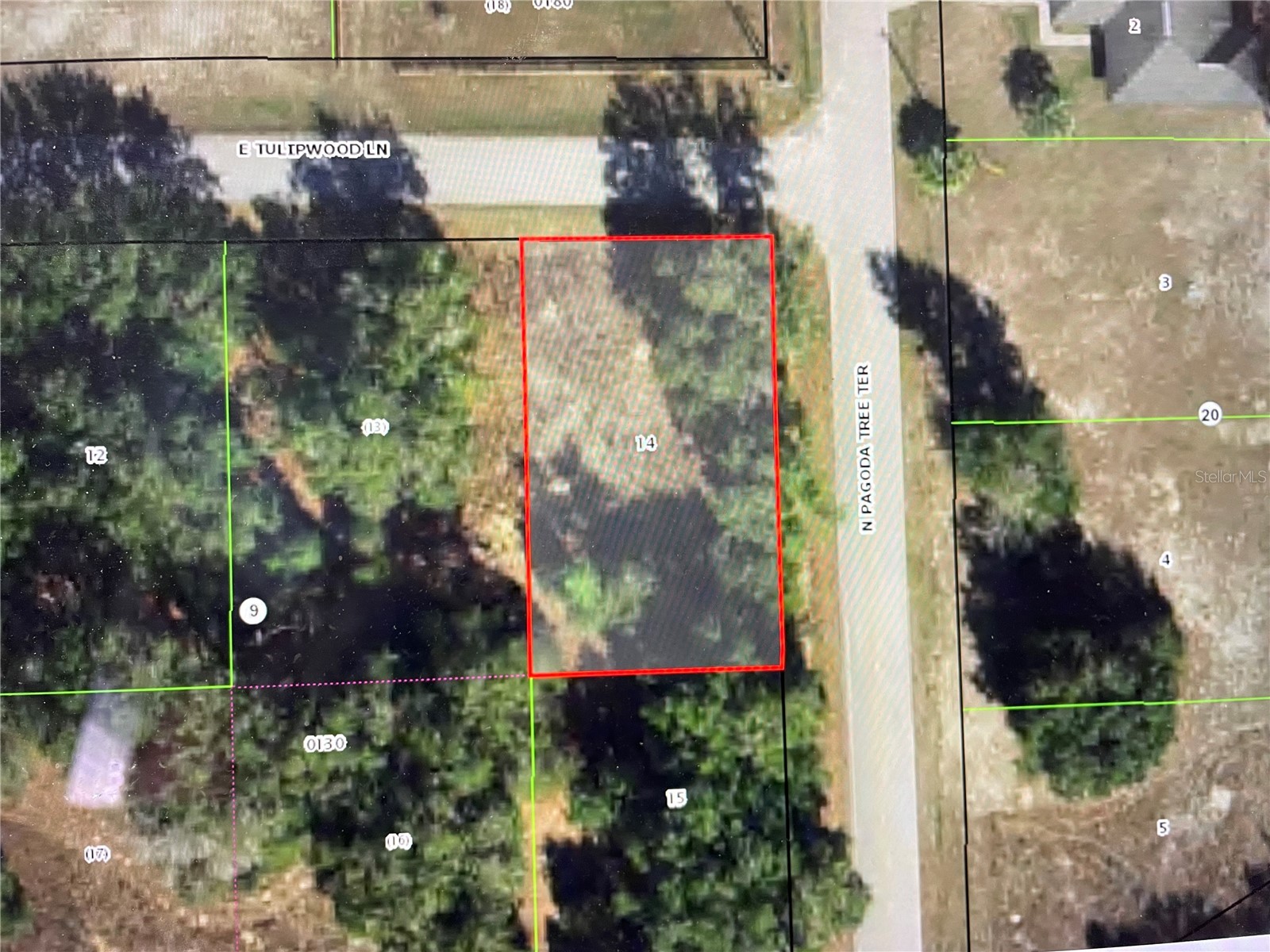 3798 E Tulipwood Lane Hernando FL 34442 OM717292 image1