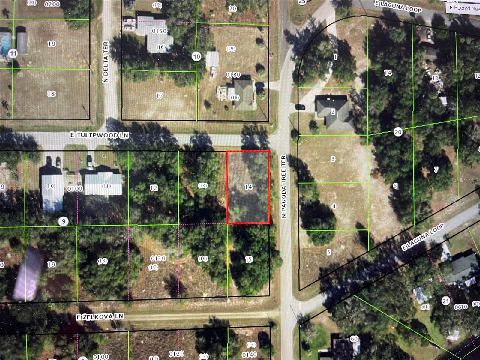3798 E Tulipwood Lane Hernando FL 34442 OM717292 image3