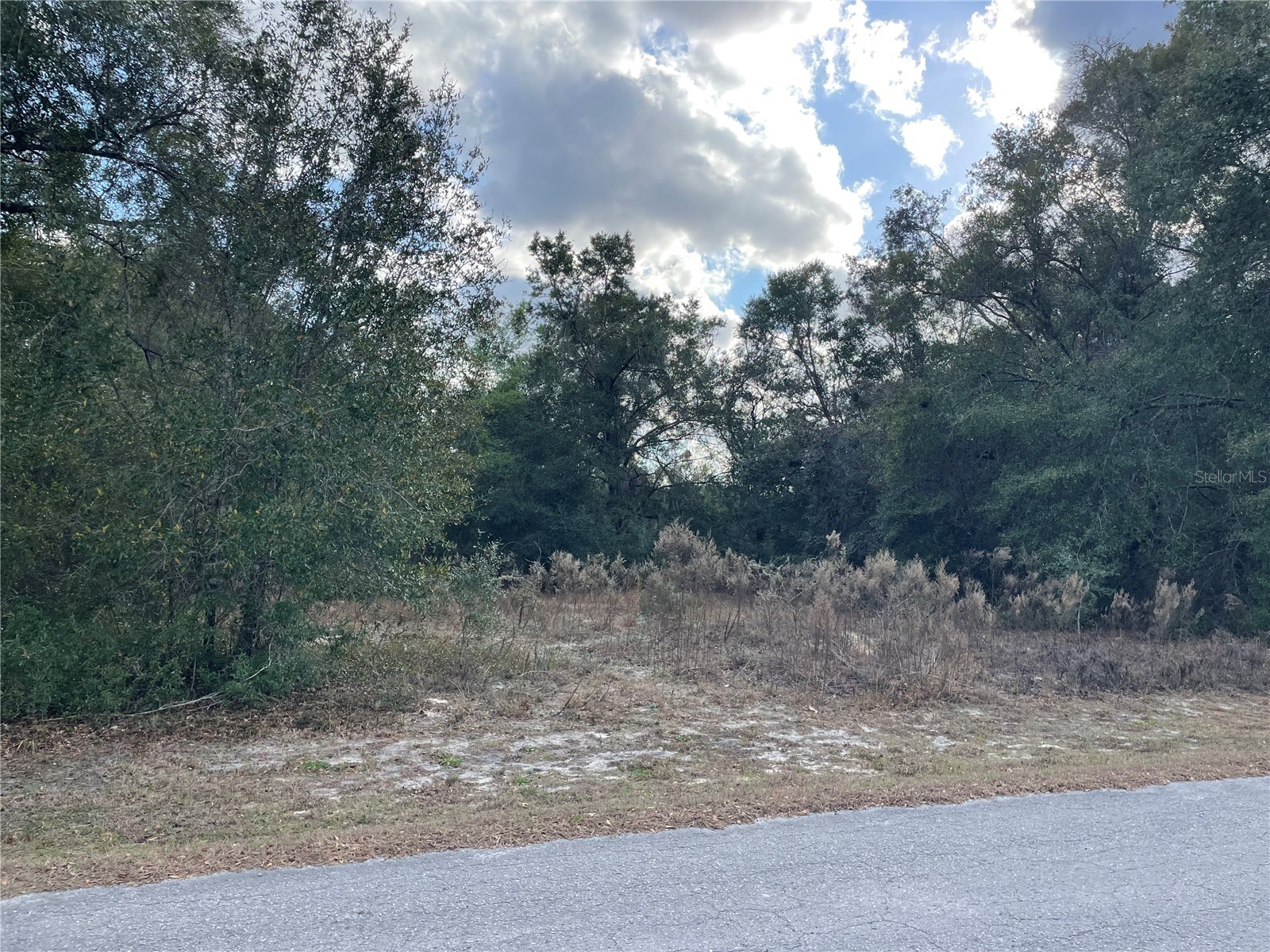 3798 E Tulipwood Lane Hernando FL 34442 OM717292 image4