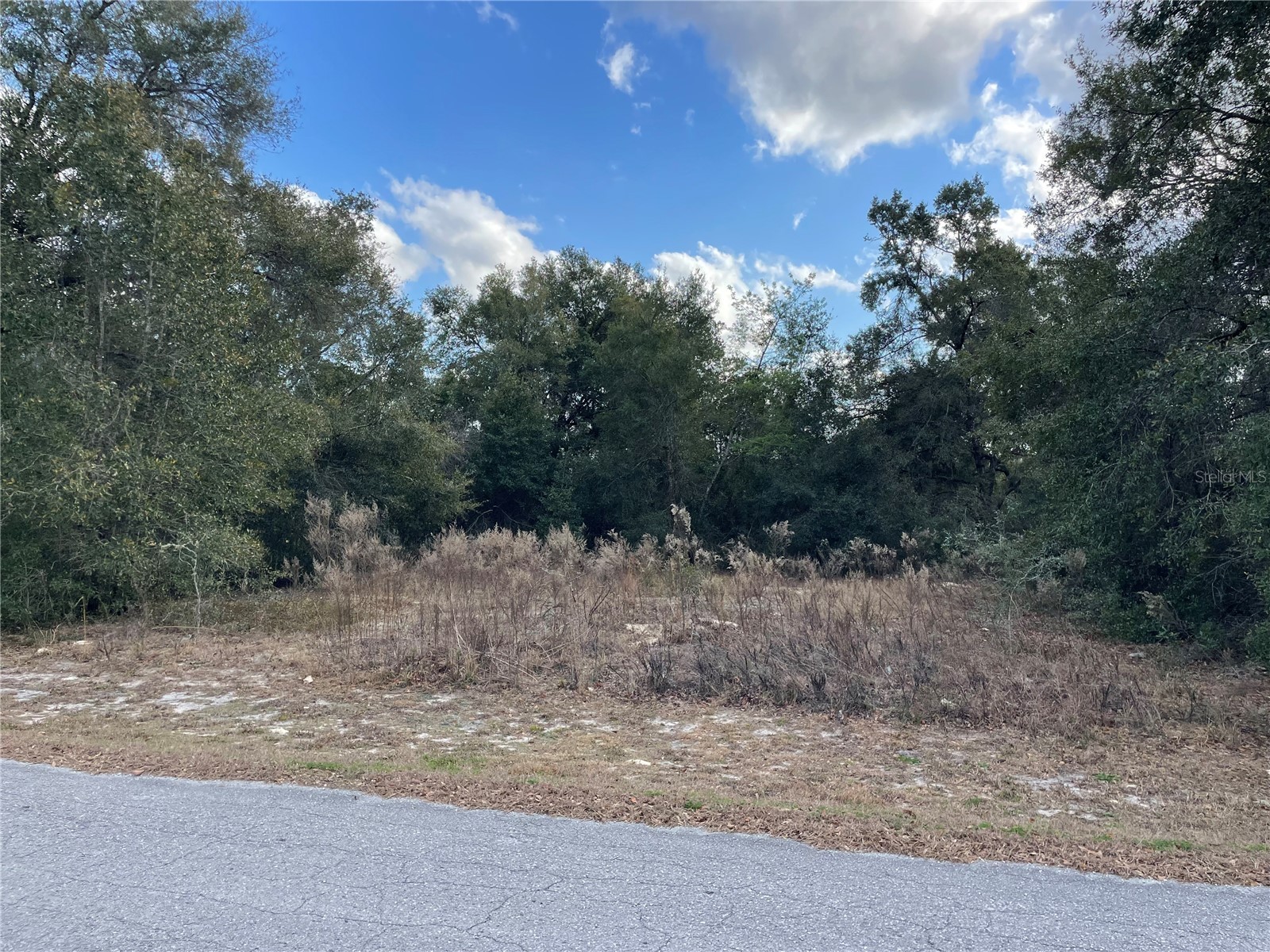 3798 E Tulipwood Lane Hernando FL 34442 OM717292 image5
