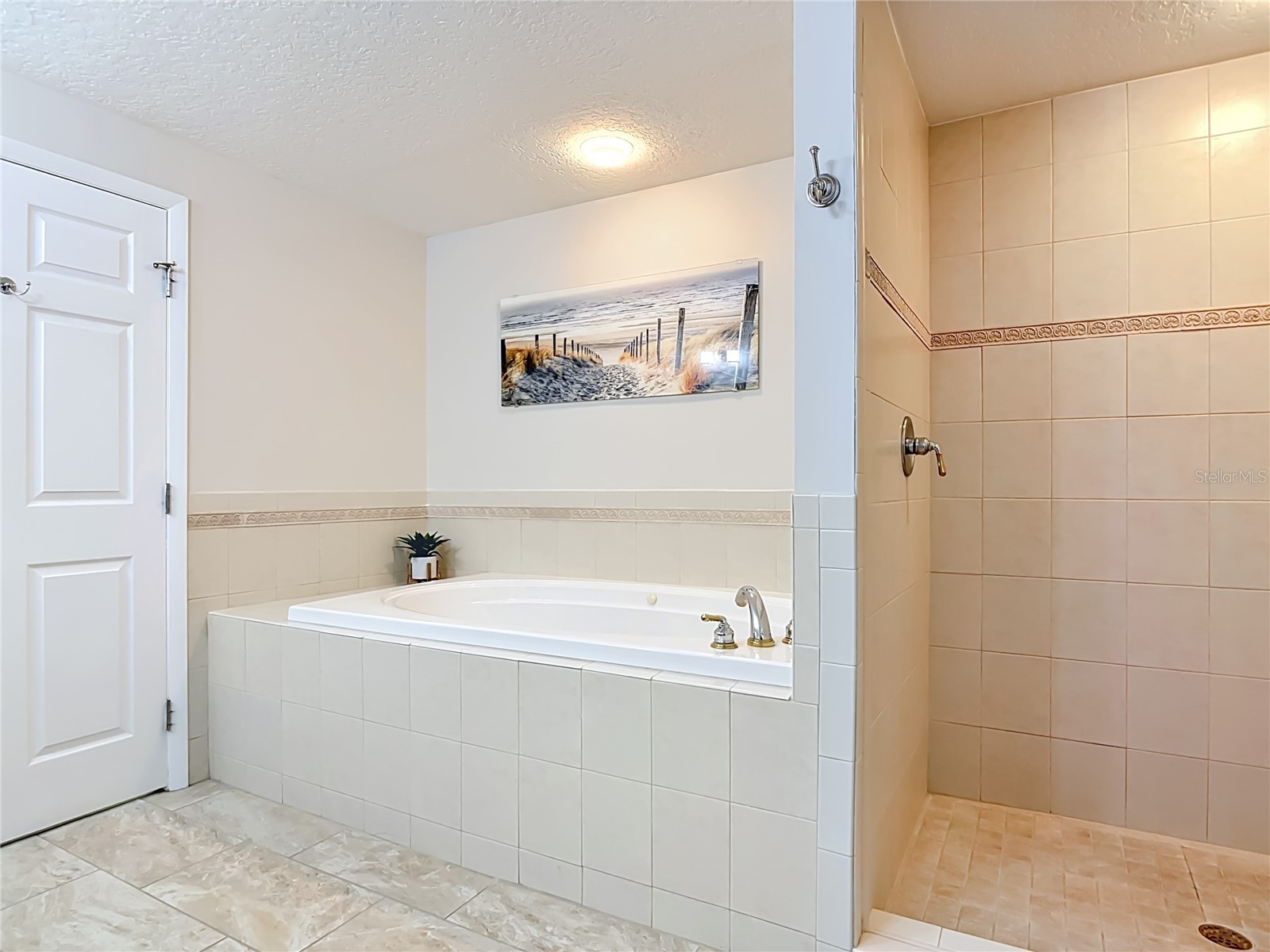 3799 S Atlantic Avenue #1001 Daytona Beach FL 32118 NS1088439 image21