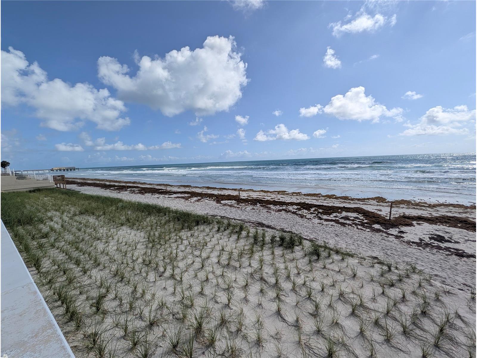 3799 S Atlantic Avenue #1001 Daytona Beach FL 32118 NS1088439 image49