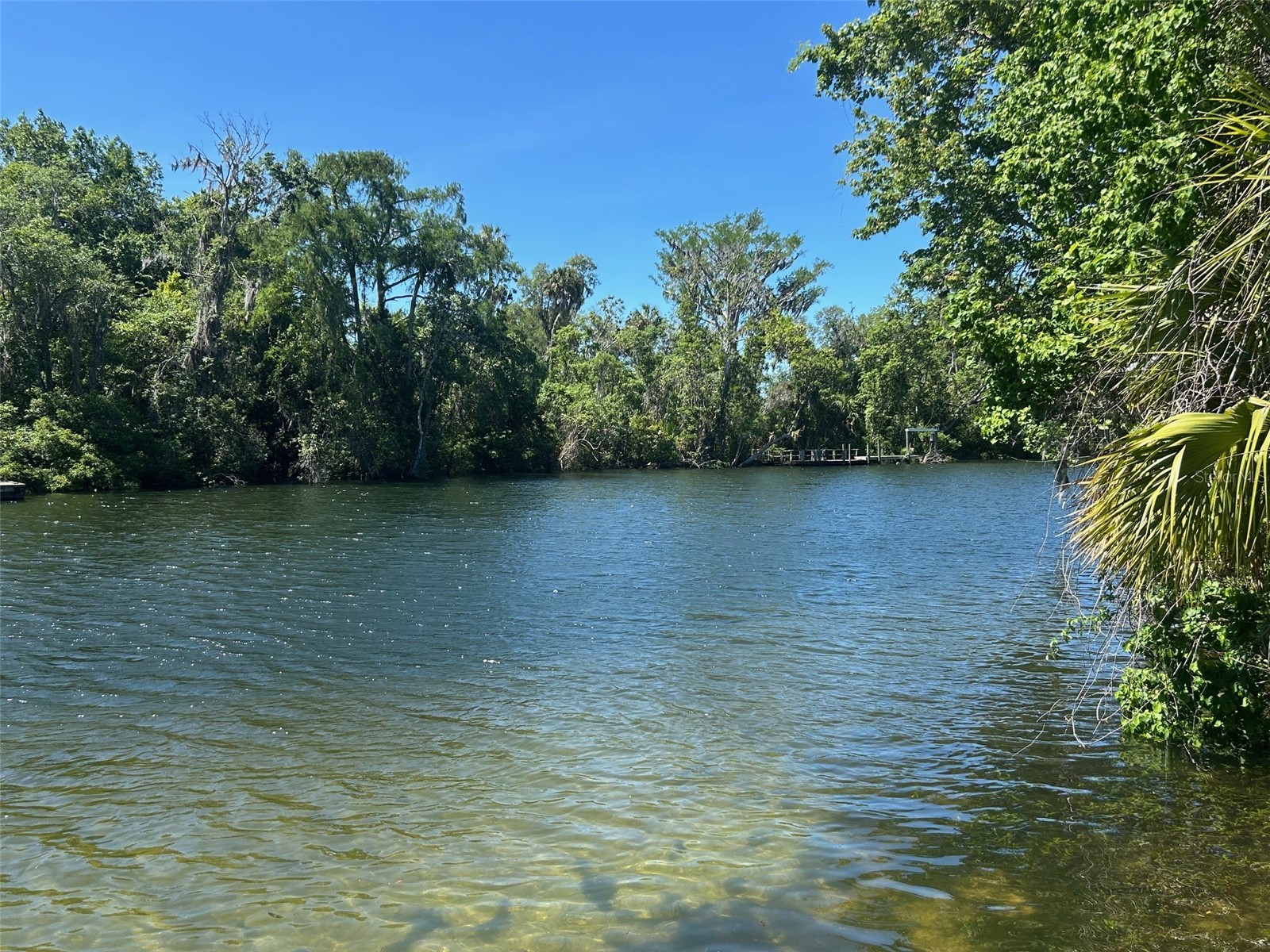 38 65th Street Yankeetown FL 34498 TB8501332 image10