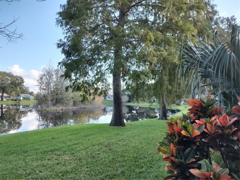 38 Aberdeen Circle Leesburg FL 34788 G5056208 image1