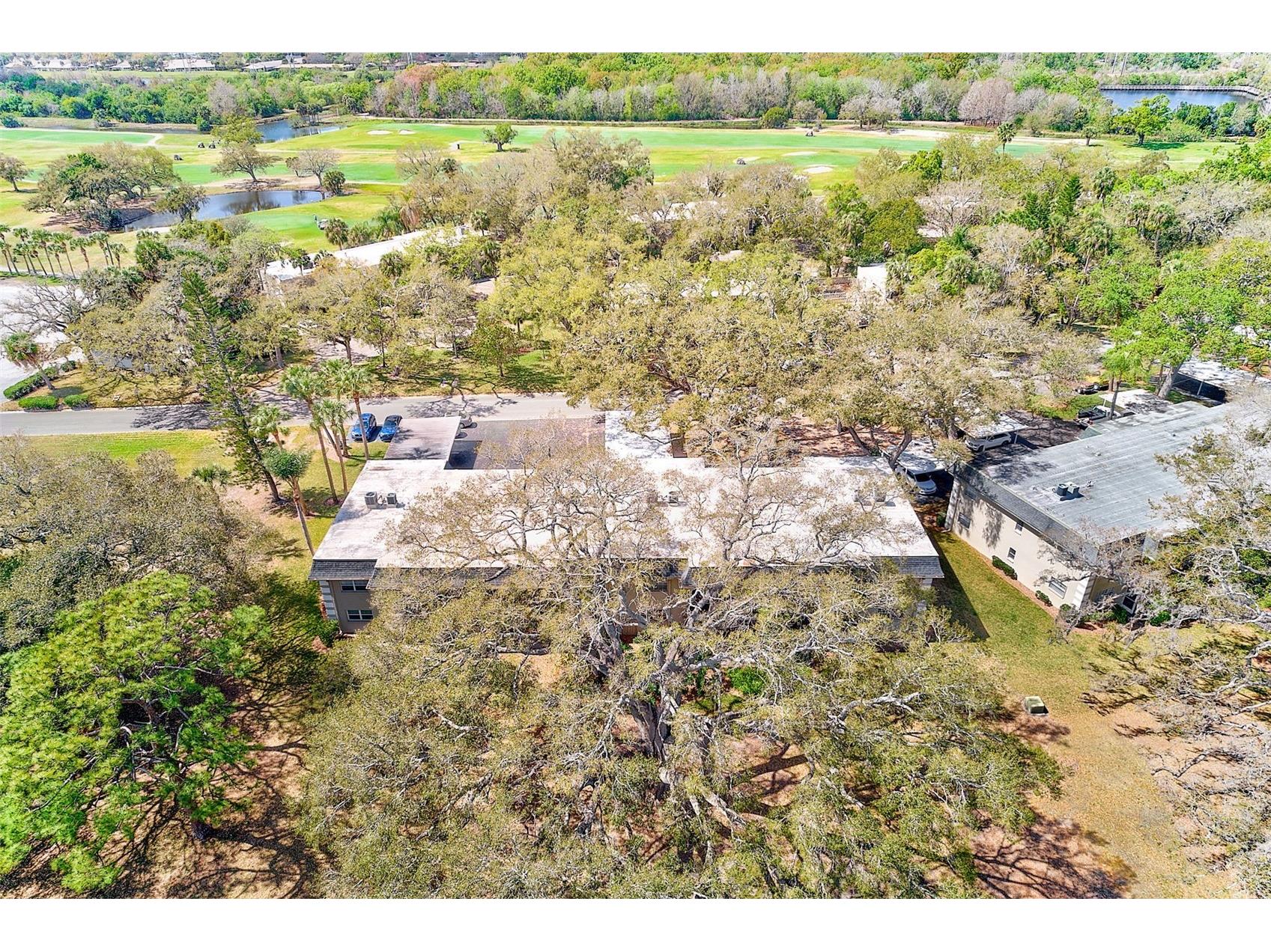 38 Country Club Drive #38 Largo FL 33771 TB8483034 image26