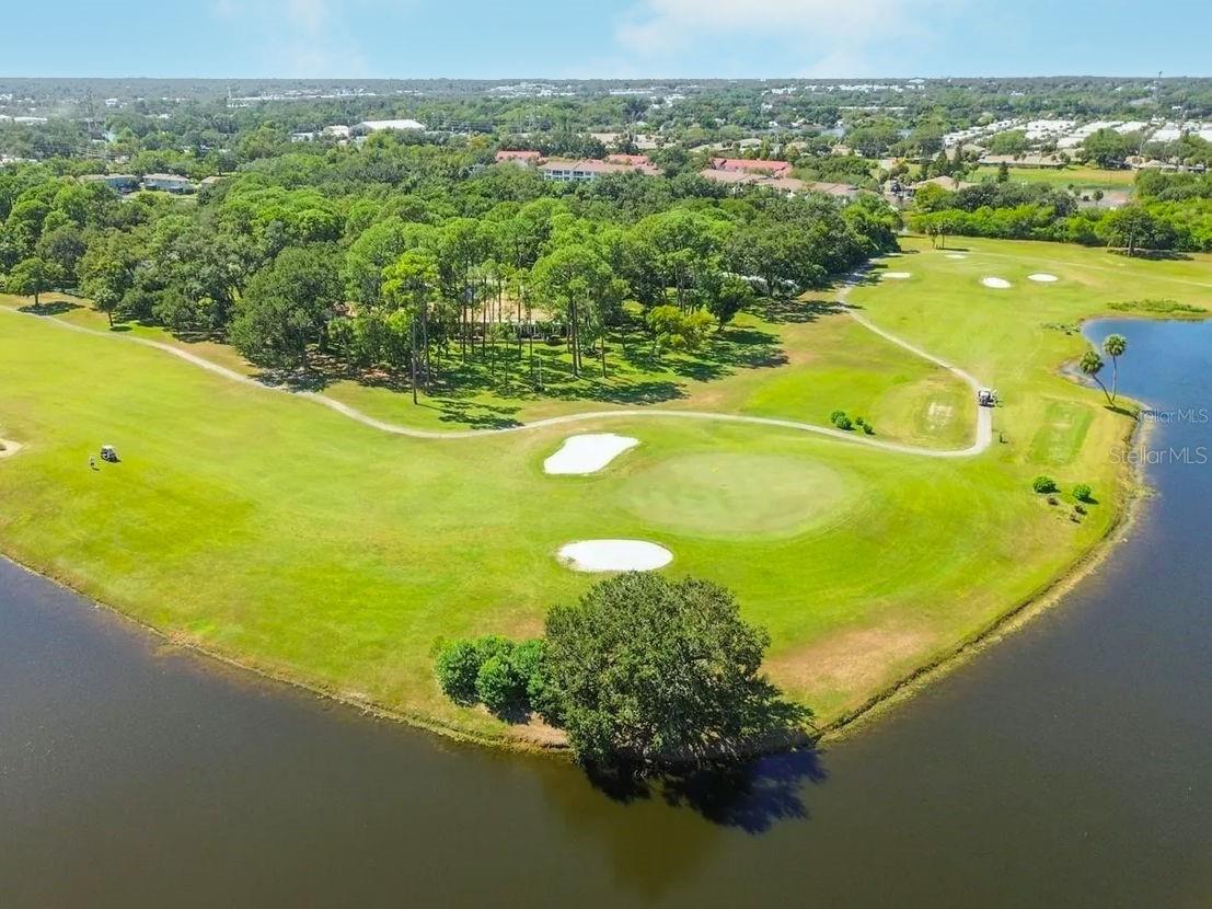 38 Country Club Drive #38 Largo FL 33771 TB8483034 image28