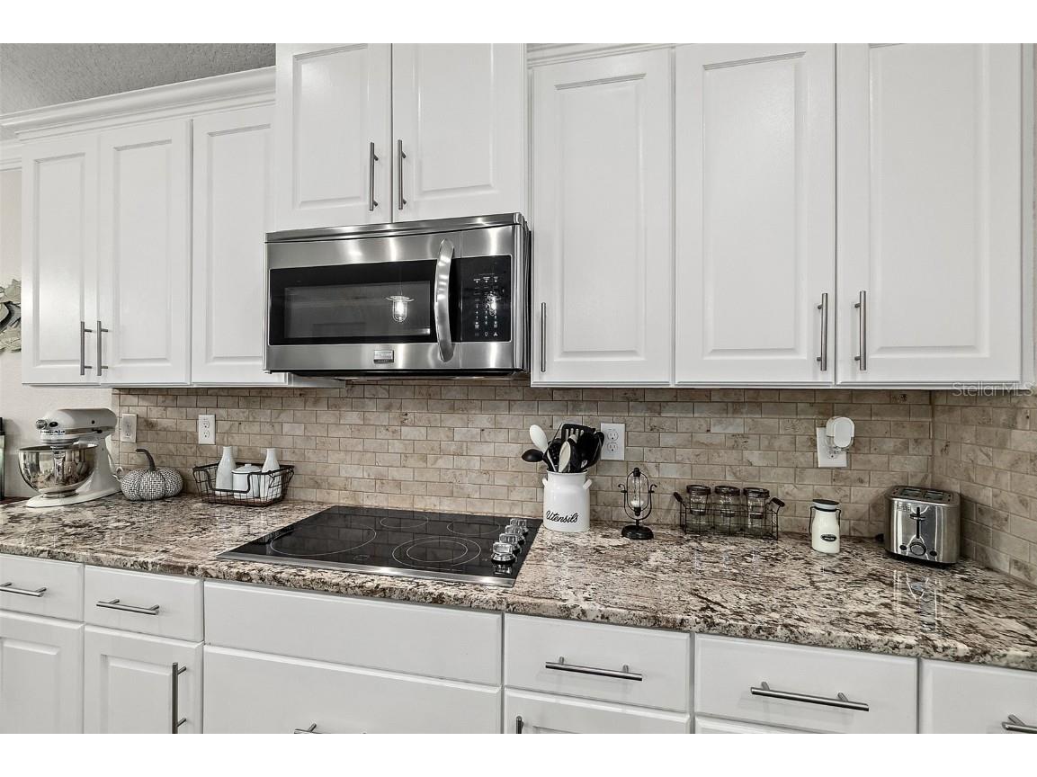 38 Country Club Harbor Circle Palm Coast FL 32137 - SALTWATER CANAL INTO THE ICW FC311772 image47