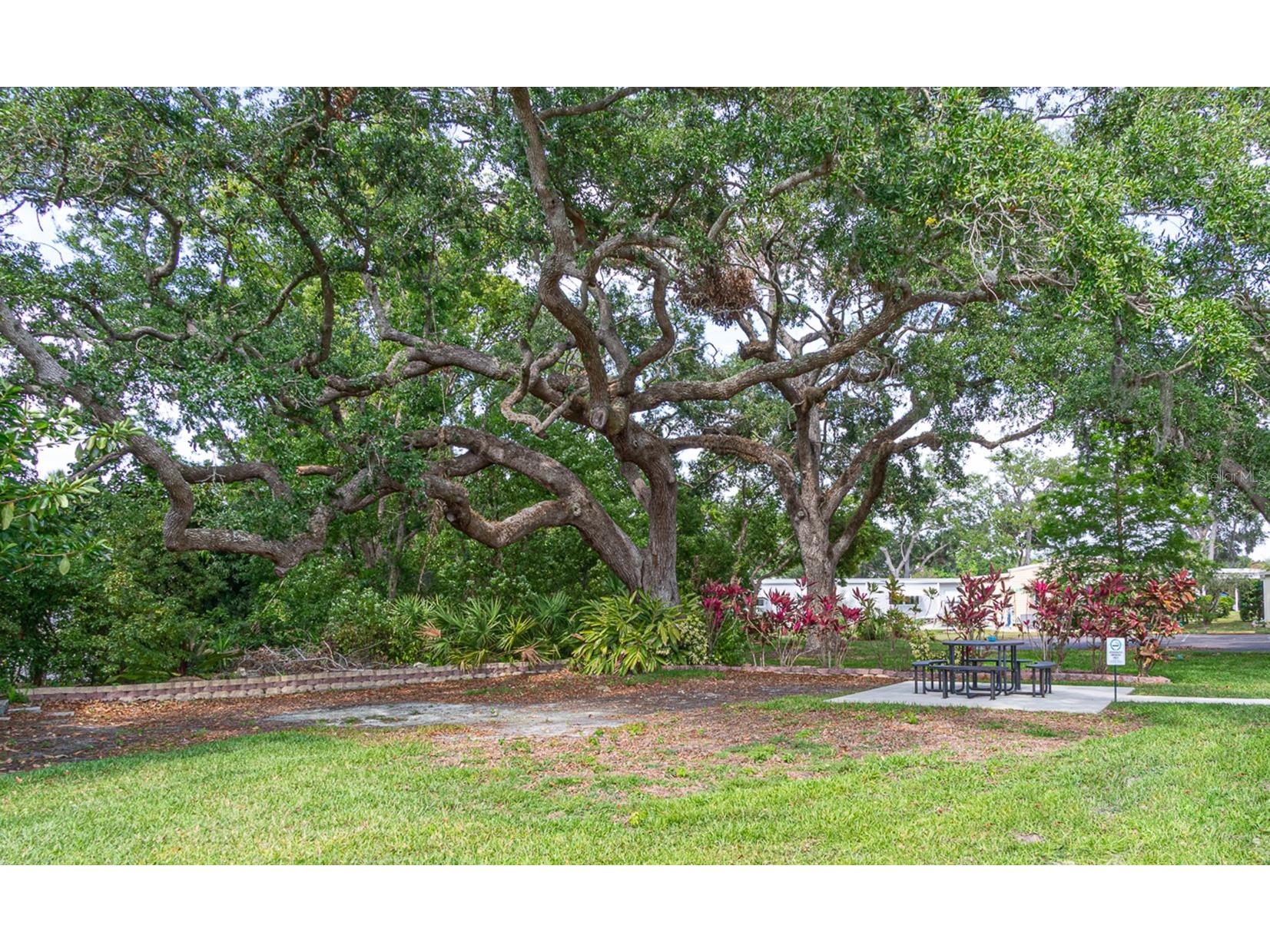 38 Deer Trail Court #49 Safety Harbor FL 34695 TB8484262 image31