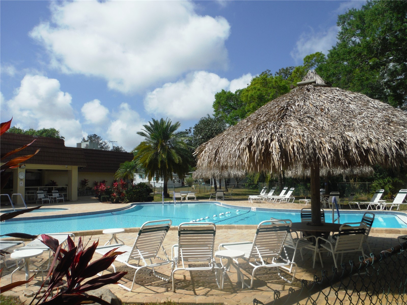 38 Deer Trail Court #49 Safety Harbor FL 34695 TB8484262 image37