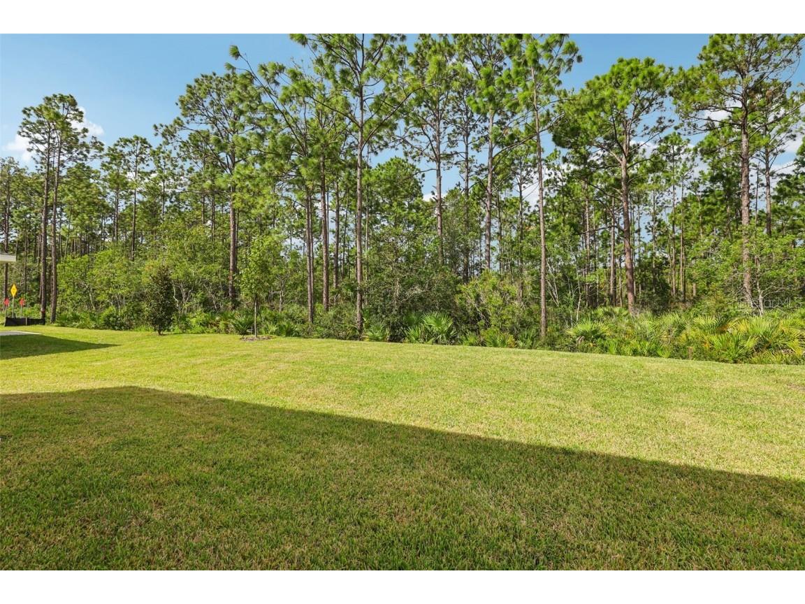 38 Derbyshire Drive Palm Coast FL 32164 O6320762 image41