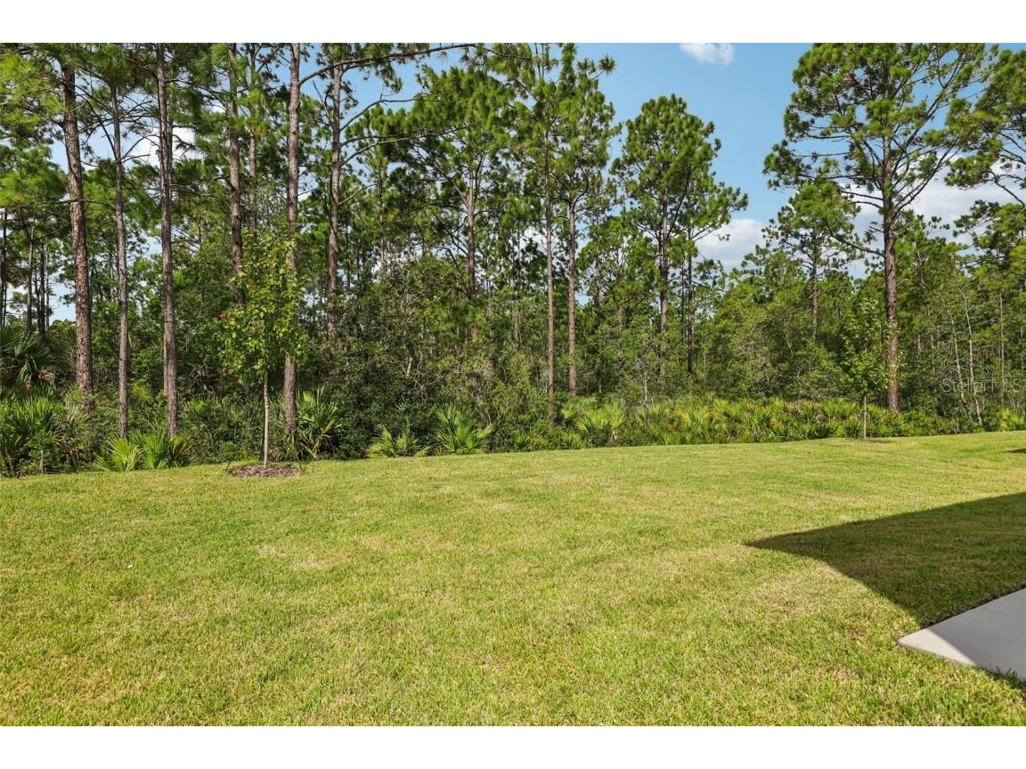 38 Derbyshire Drive Palm Coast FL 32164 O6320762 image5