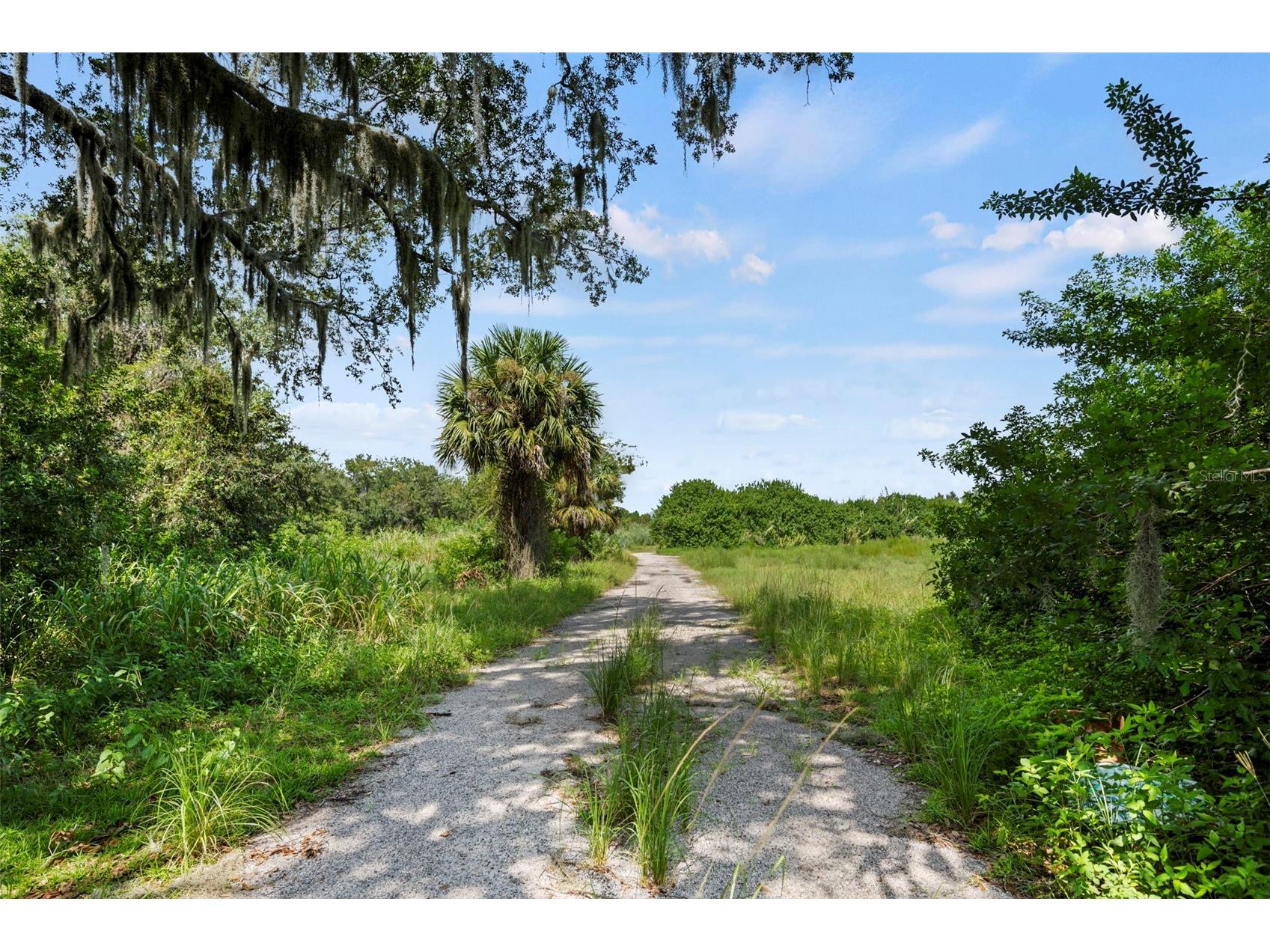 38 Eagle Lake Drive Flagler Beach FL 32136 FC315692 image18