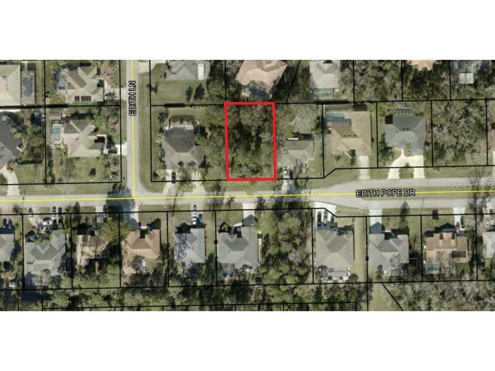 38 Edith Pope Drive Palm Coast FL 32164 FC313166 image1