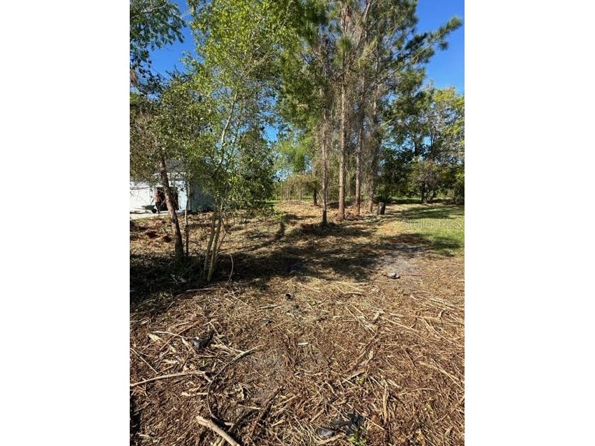 38 Fairbank Lane Palm Coast FL 32137 FC286338 image1