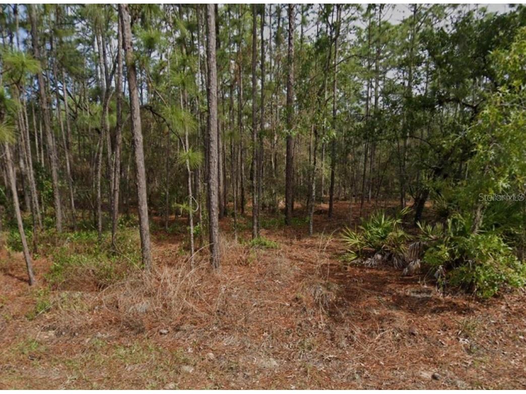 38 Fringetree Street Homosassa FL 34446 W7878880 image2