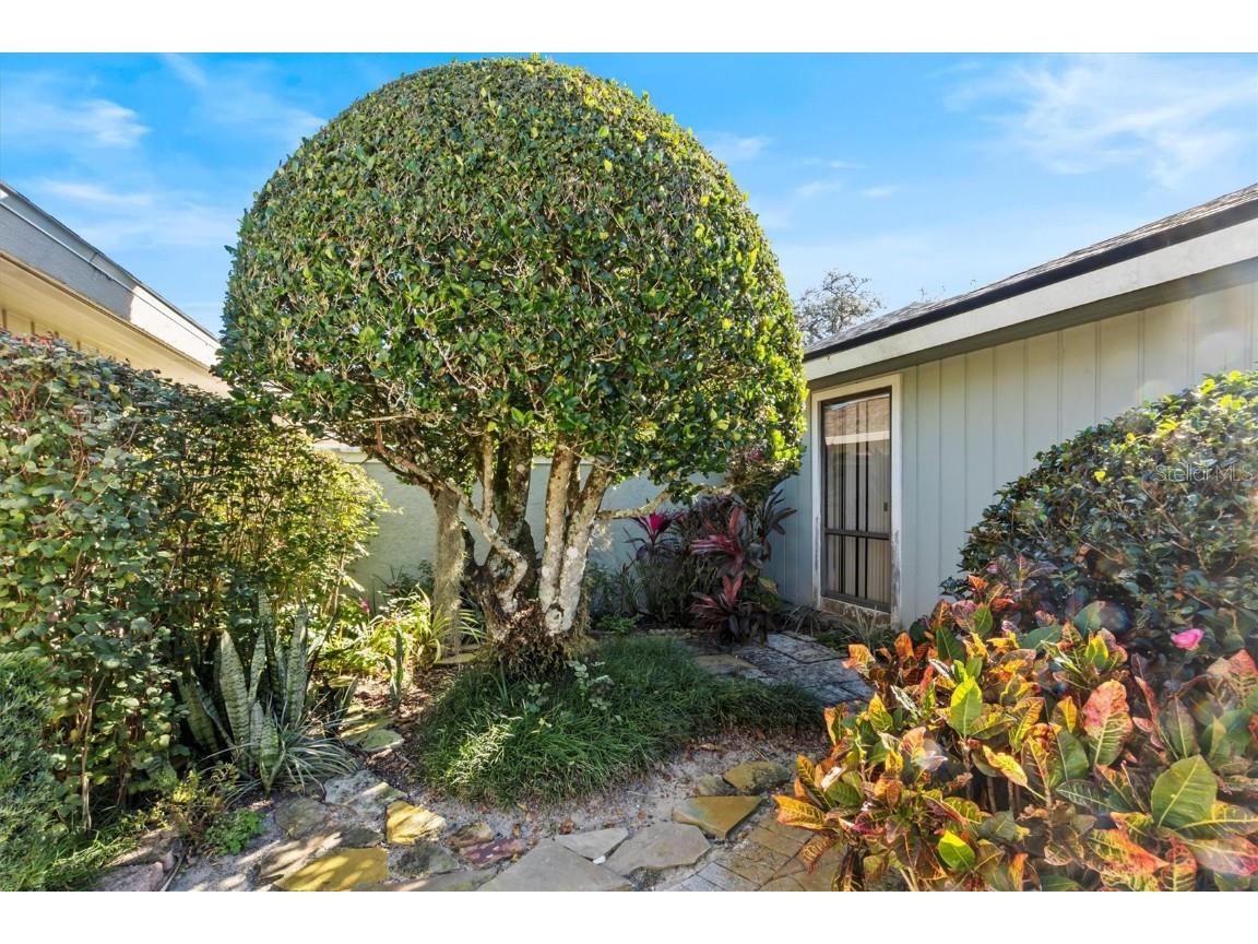 38 Grenewood Lane Haines City FL 33844 P4933218 image34