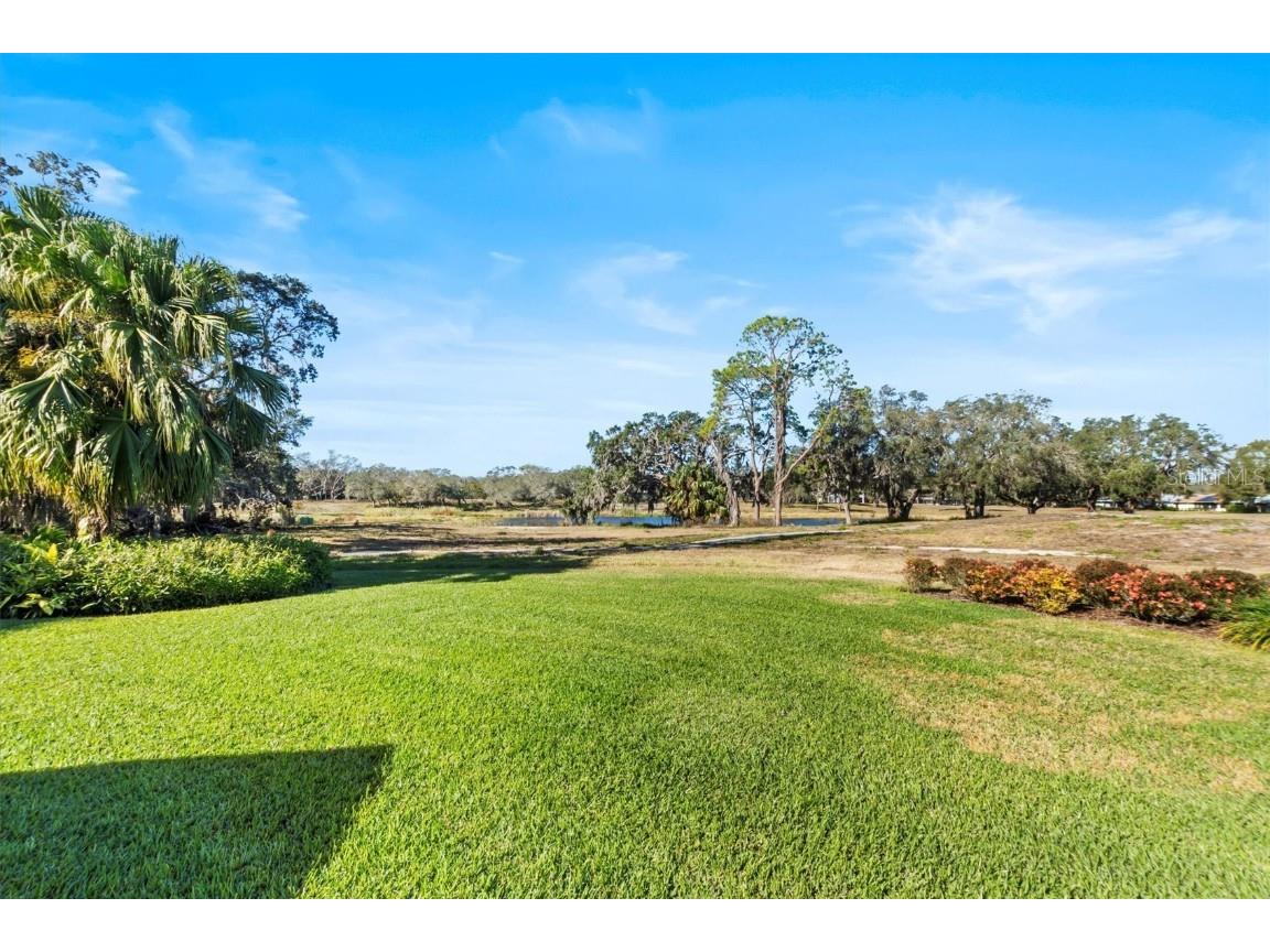 38 Grenewood Lane Haines City FL 33844 P4933218 image37